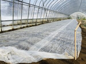 温泉旅館いこい荘裏にあるハウスの中