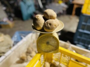 温泉旅館いこい荘の自家製じゃがいも