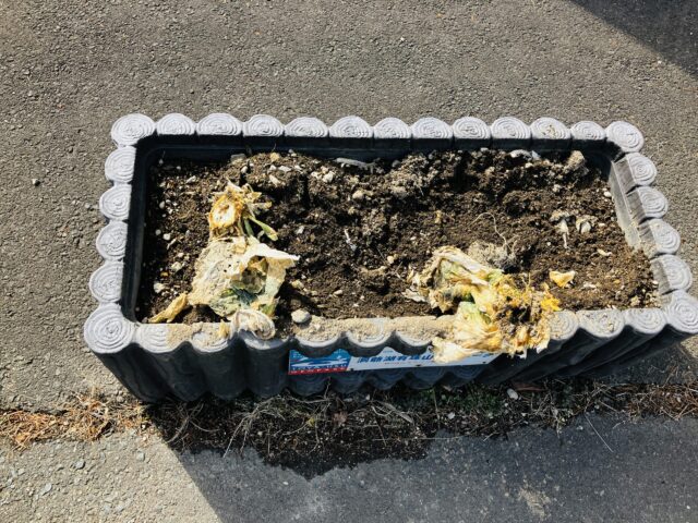 大自然での生活は野生動物との共生がとても難しい(^◇^;)