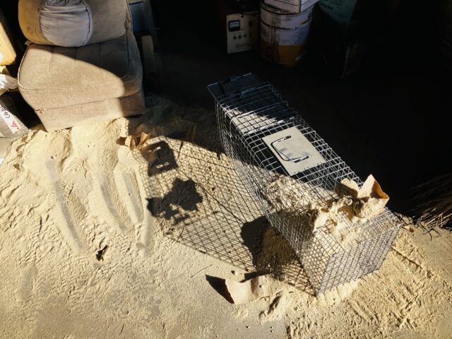 イタズラ発見・・・・・・・一体誰が・・・