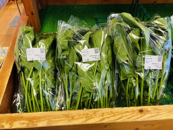 ほうれん草の出荷始めています。数も少ないのでお早めにお買い求めください！